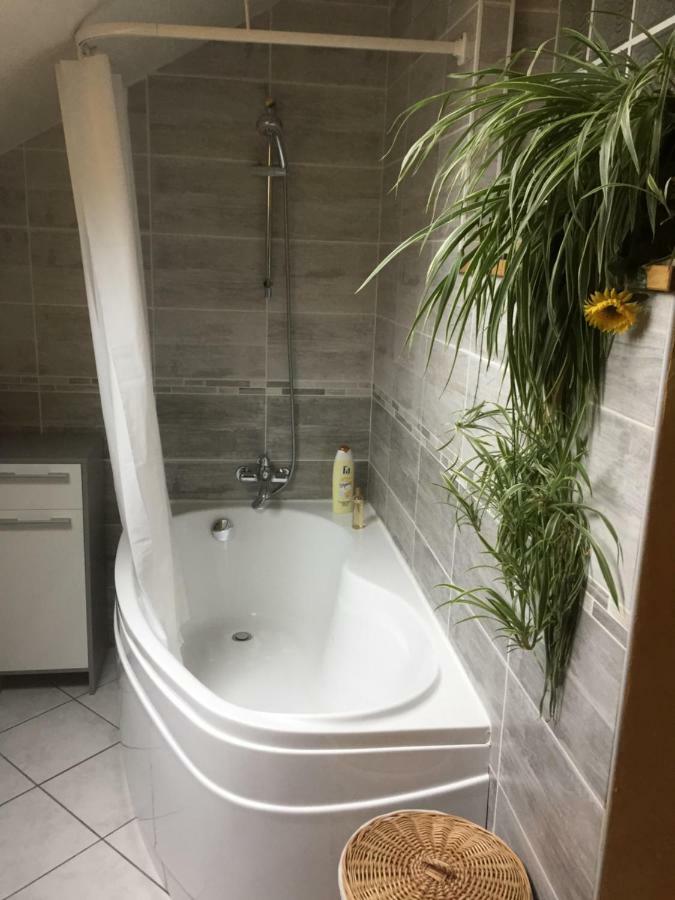 Le Chanois Fontaine  Kültér fotó